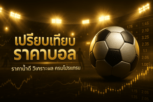 เปรียบเทียบราคาบอล