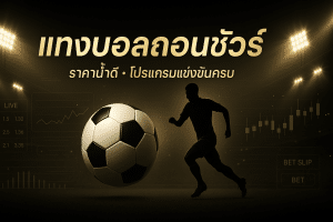 แทงบอลถอนชัวร์
